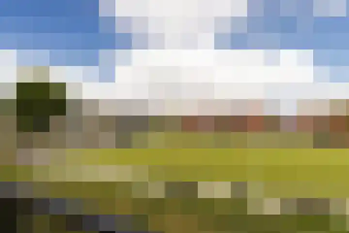 Gaspeldoorn 15 Bergambacht thumbnail 29