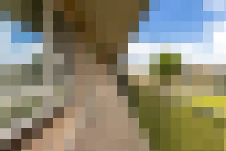 Gaspeldoorn 15 Bergambacht thumbnail 30