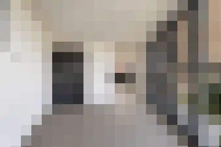 Gaspeldoorn 15 Bergambacht thumbnail 32