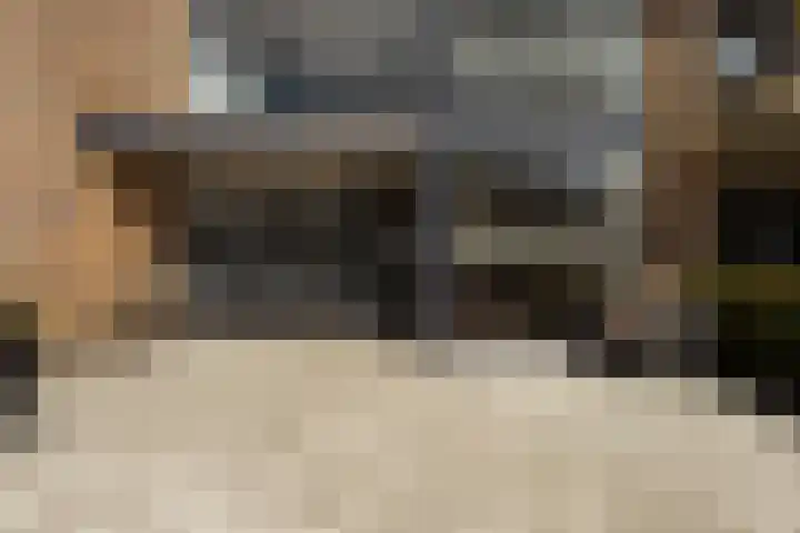 Gaspeldoorn 15 Bergambacht thumbnail 33