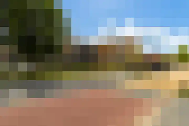 Gaspeldoorn 15 Bergambacht thumbnail 36