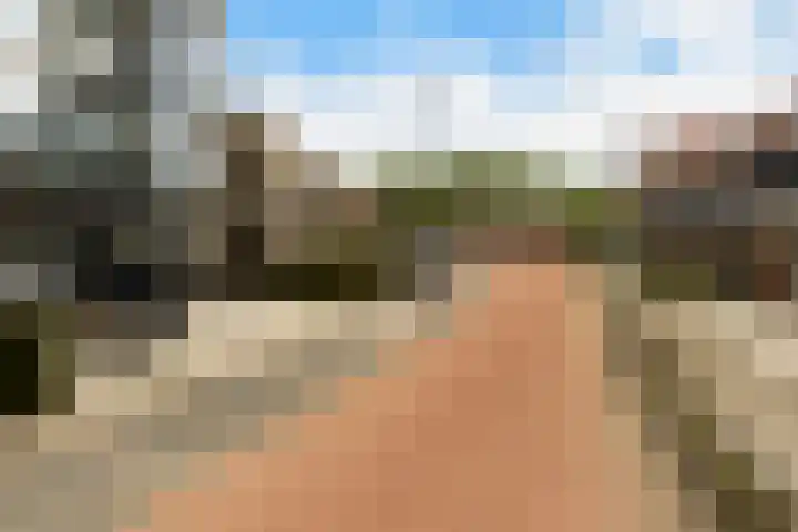 Gaspeldoorn 15 Bergambacht thumbnail 38