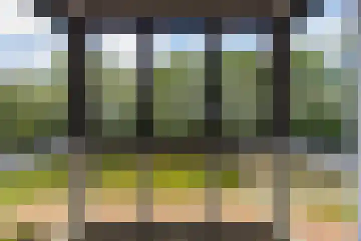 Gaspeldoorn 15 Bergambacht thumbnail 4