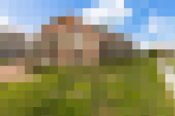 Gaspeldoorn 15 Bergambacht thumbnail 41