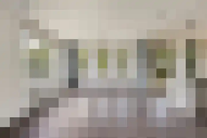 Gaspeldoorn 15 Bergambacht thumbnail 6