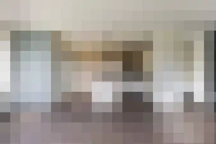 Gaspeldoorn 15 Bergambacht thumbnail 7