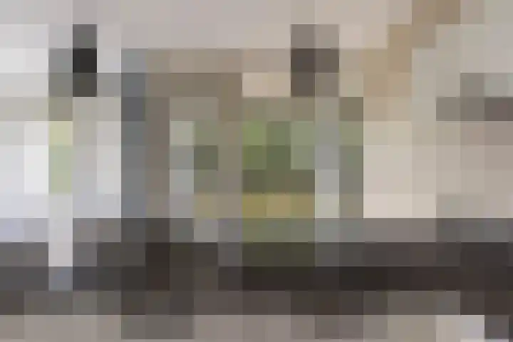 Gaspeldoorn 15 Bergambacht thumbnail 8