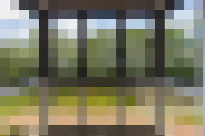 Gaspeldoorn 15 Bergambacht thumbnail 9
