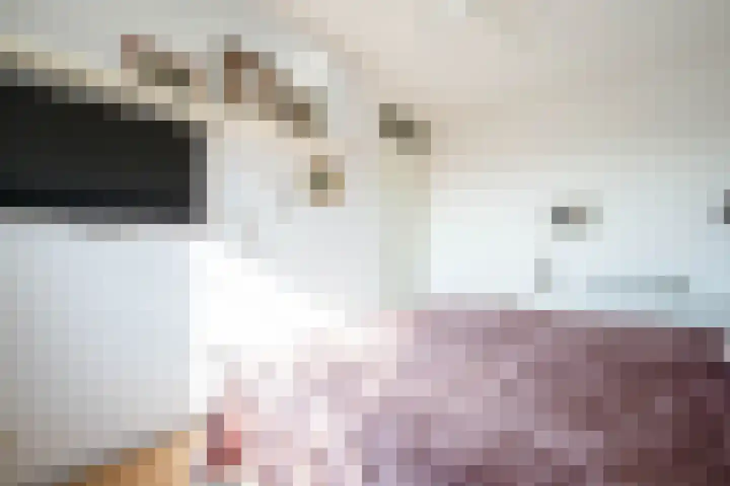 Gaspeldoorn 18 Bergambacht thumbnail 17