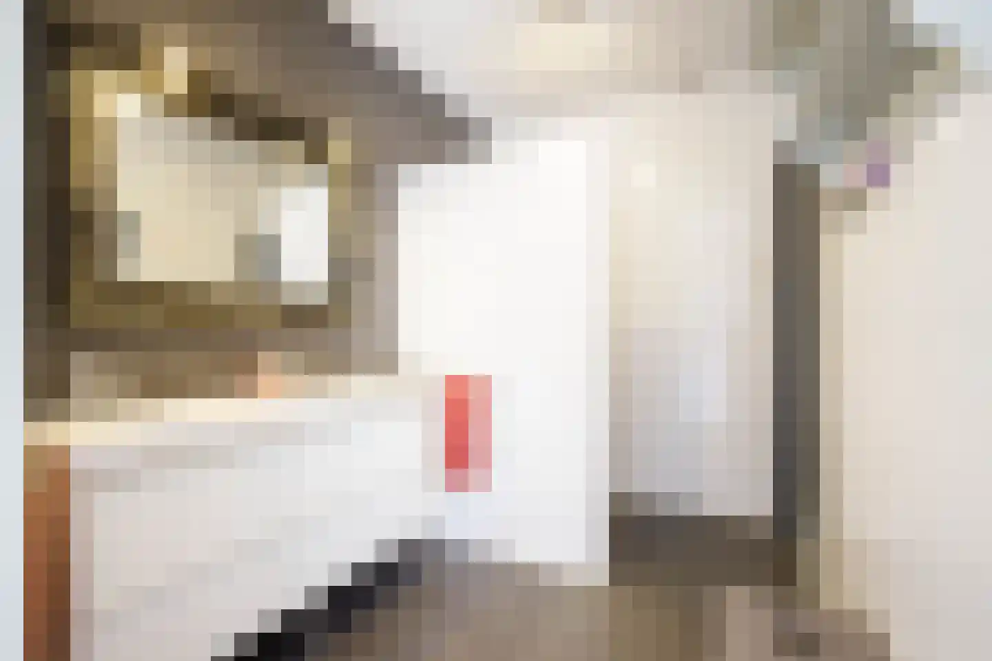 Gaspeldoorn 18 Bergambacht thumbnail 18