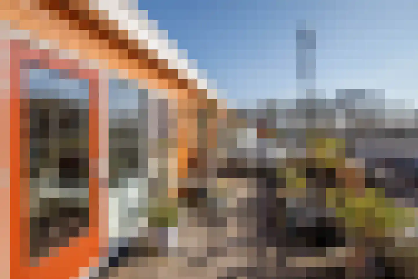 Gaspeldoorn 18 Bergambacht thumbnail 24