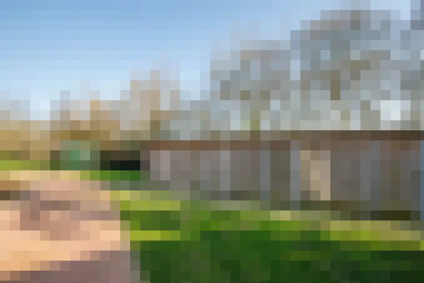 Gaspeldoorn 18 Bergambacht thumbnail 29