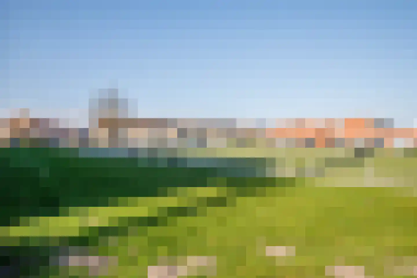 Gaspeldoorn 18 Bergambacht thumbnail 31