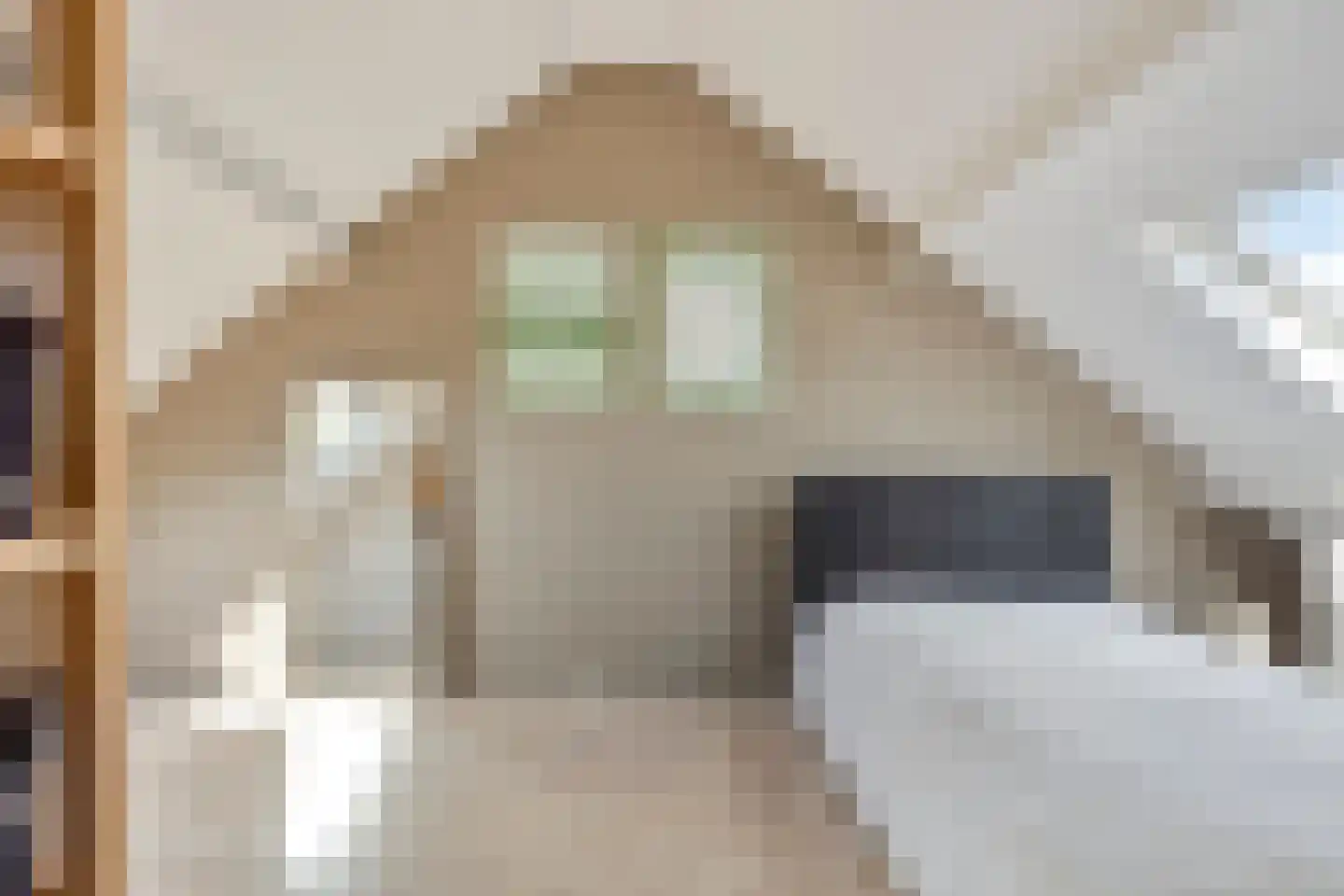 Gaspeldoorn 23 Poortugaal thumbnail 22