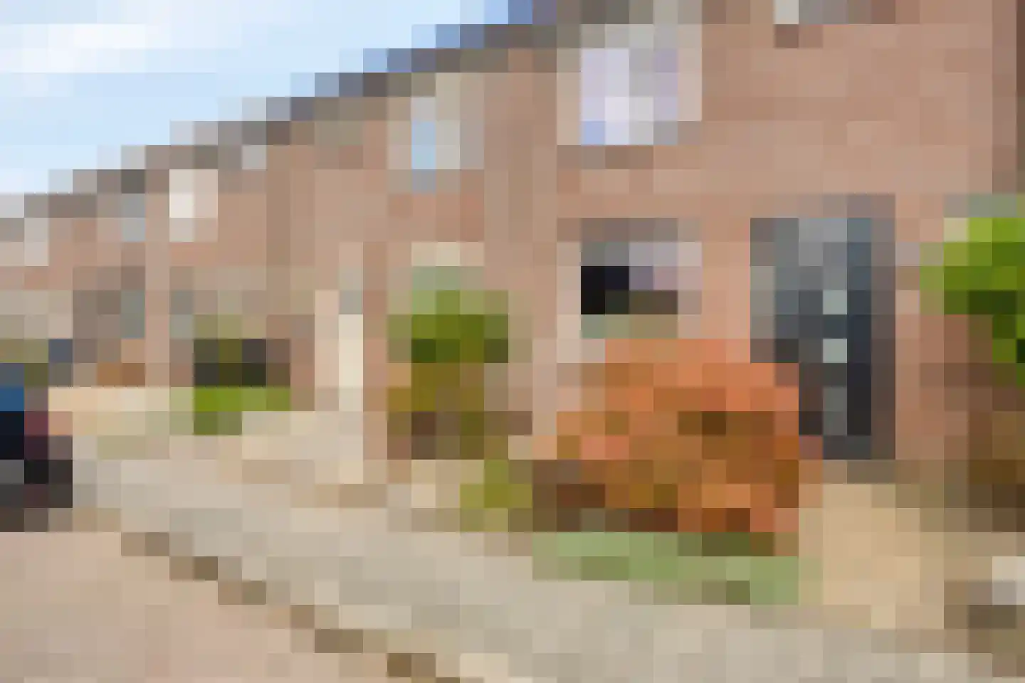 Gaspeldoorn 23 Poortugaal thumbnail 8