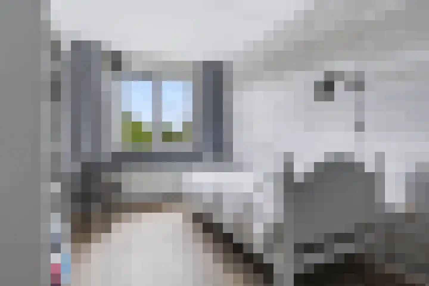 Gaspeldoorn 53 Eerbeek thumbnail 21