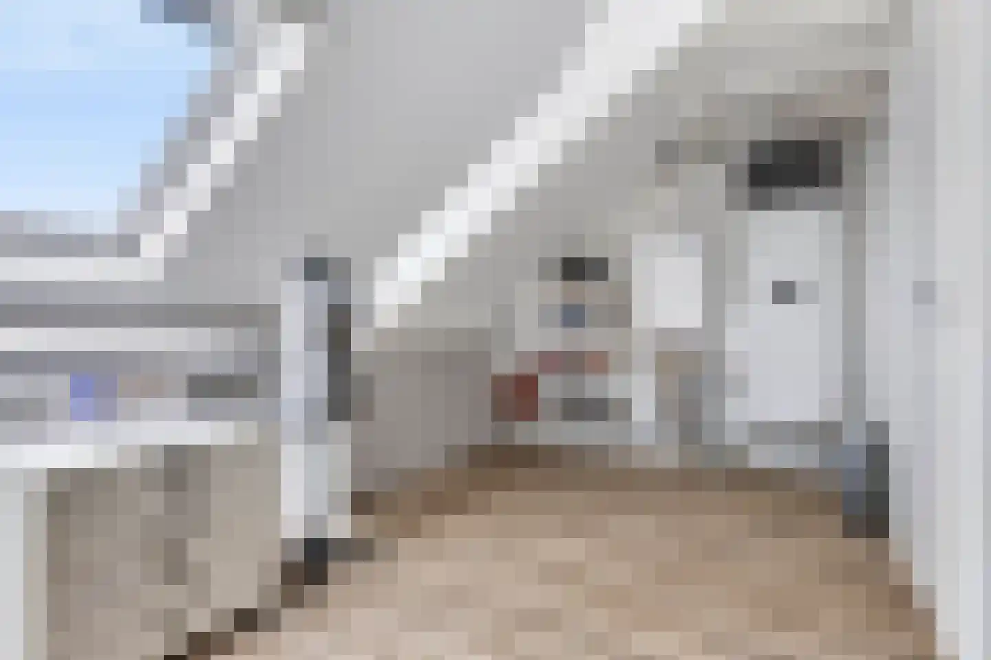 Gaspeldoorn 53 Eerbeek thumbnail 32