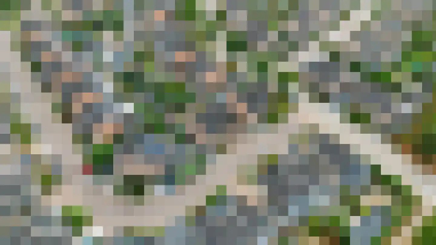 Gaspeldoorn 53 Eerbeek thumbnail 63
