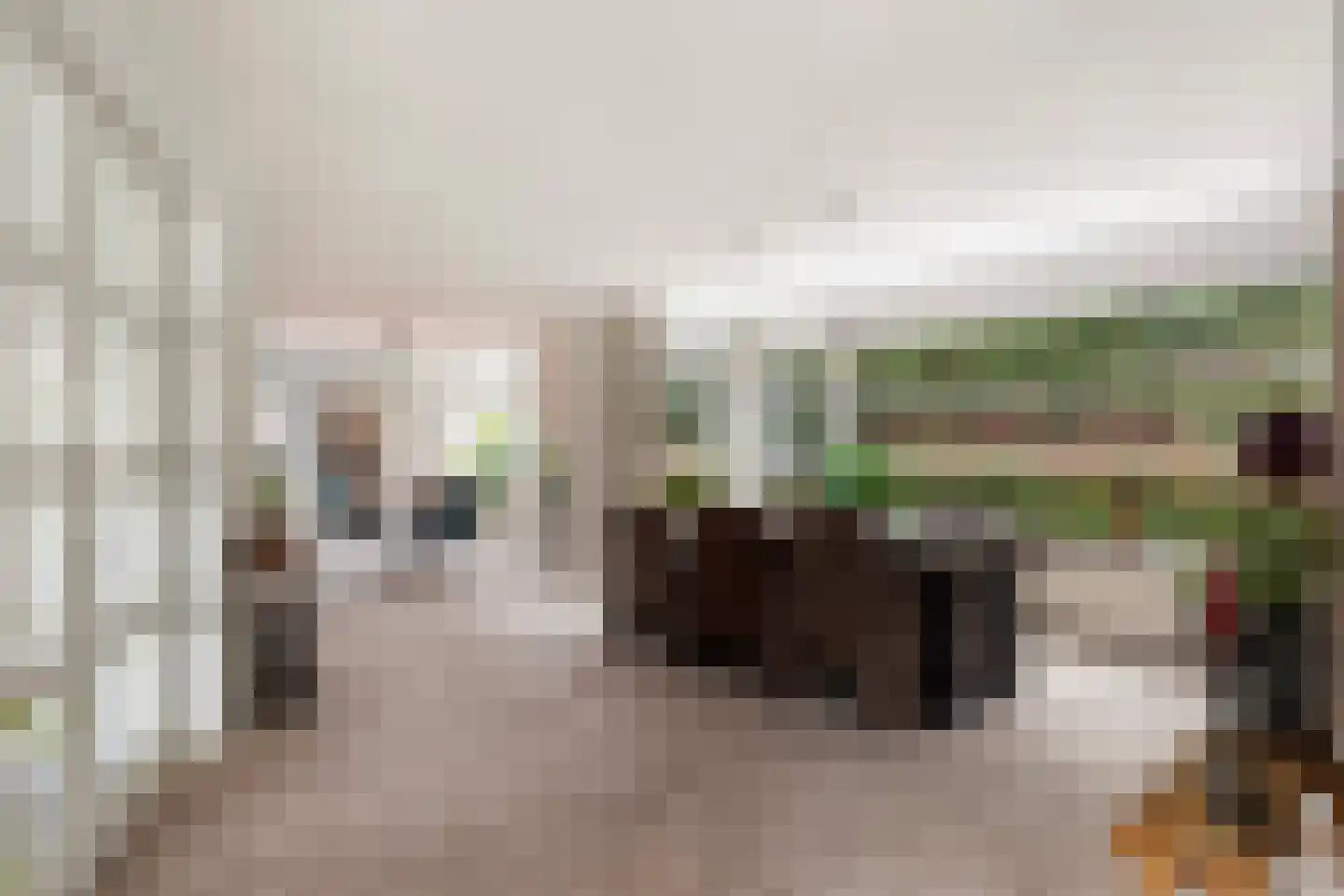 Gaspeldoorn 60 Eerbeek thumbnail 11
