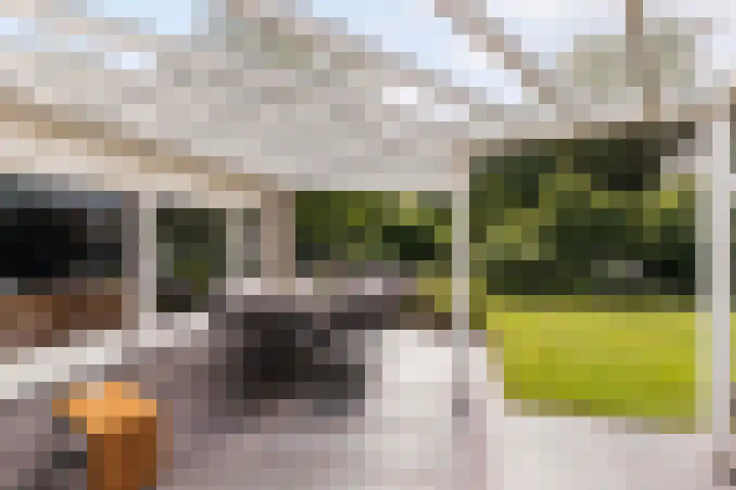 Gaspeldoorn 60 Eerbeek thumbnail 20