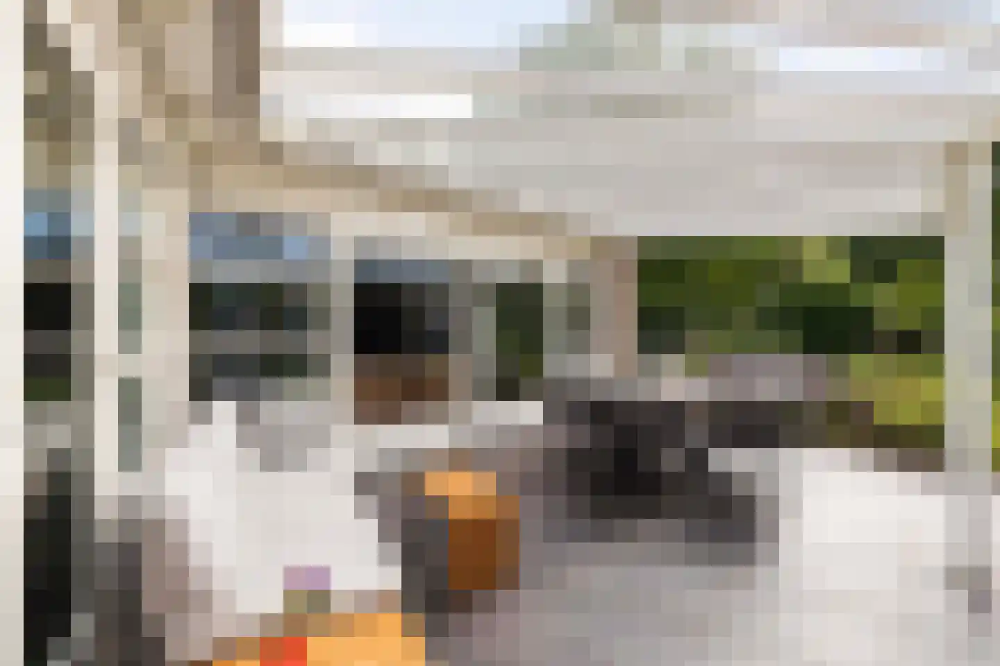 Gaspeldoorn 60 Eerbeek thumbnail 21