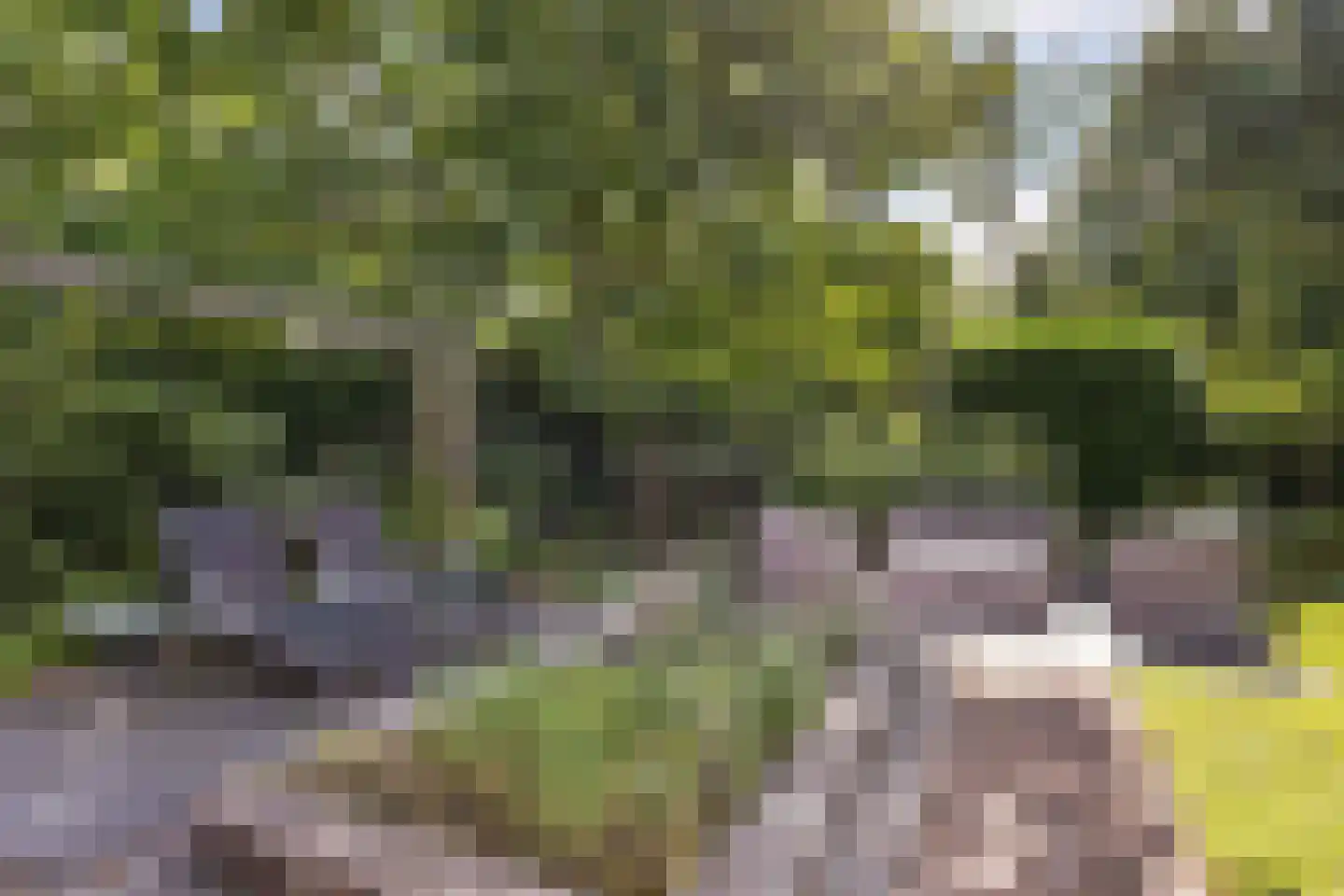 Gaspeldoorn 60 Eerbeek thumbnail 23