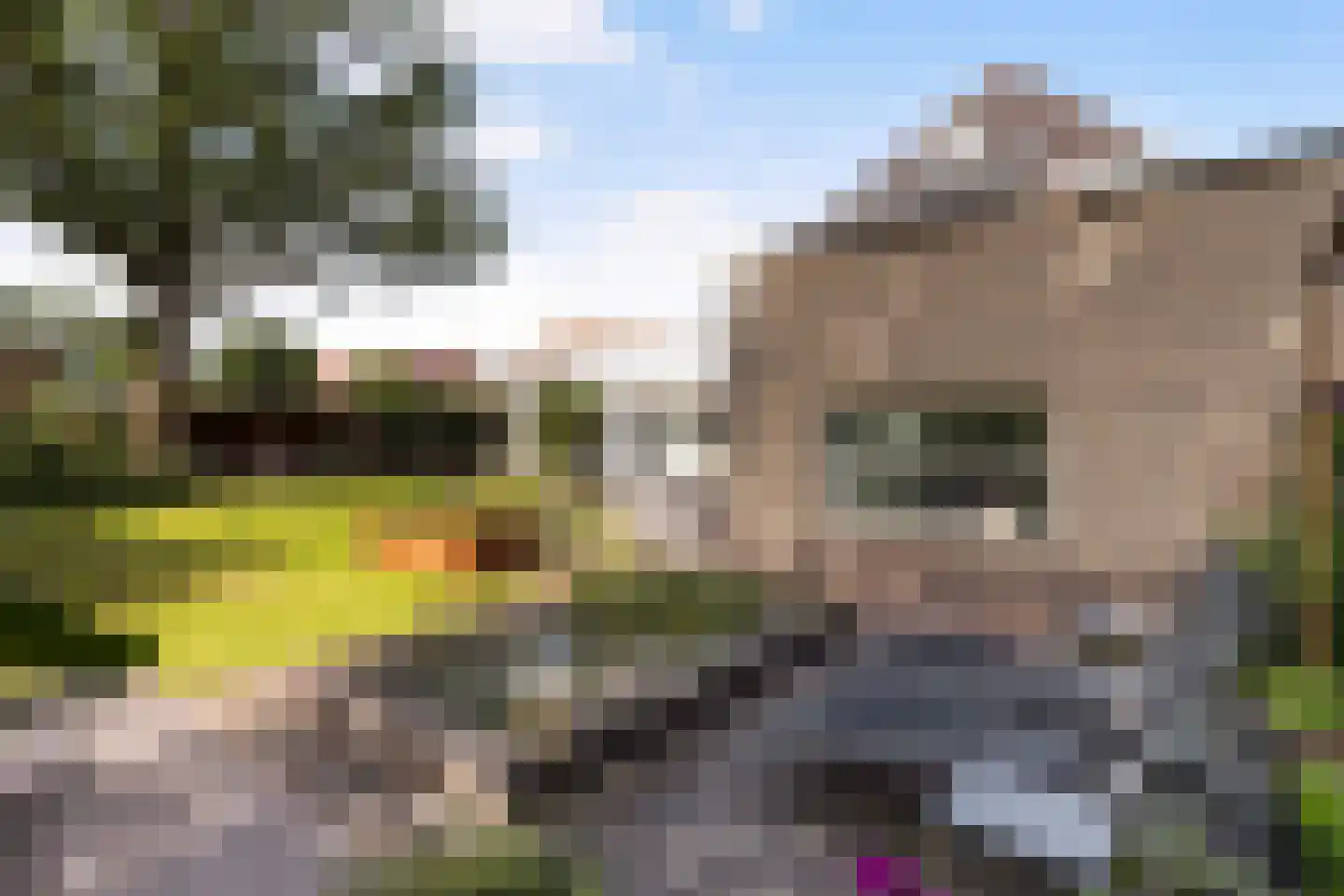 Gaspeldoorn 60 Eerbeek thumbnail 24