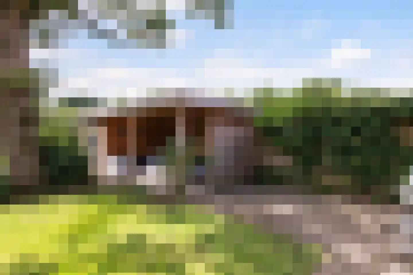 Gaspeldoorn 60 Eerbeek thumbnail 25