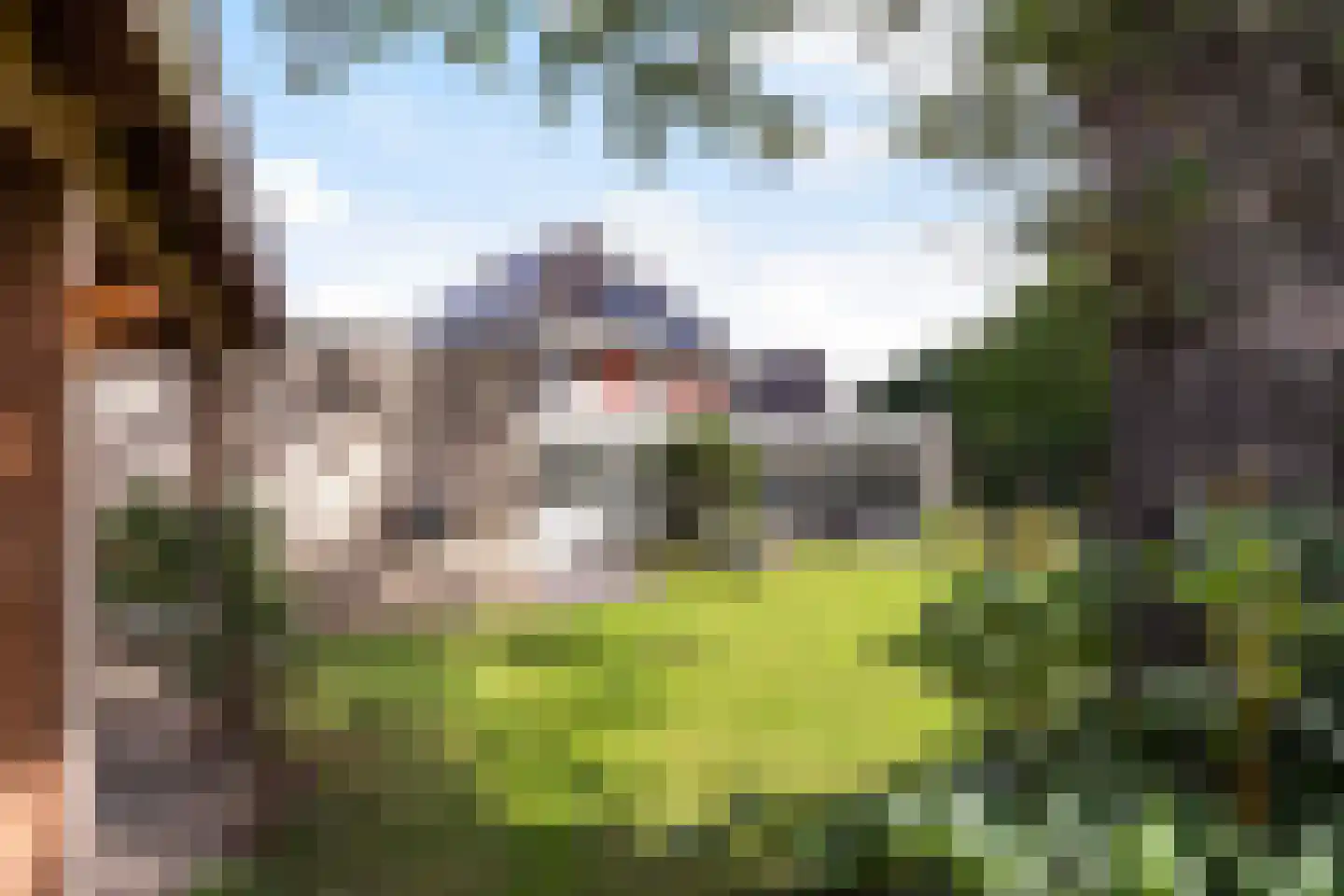Gaspeldoorn 60 Eerbeek thumbnail 28