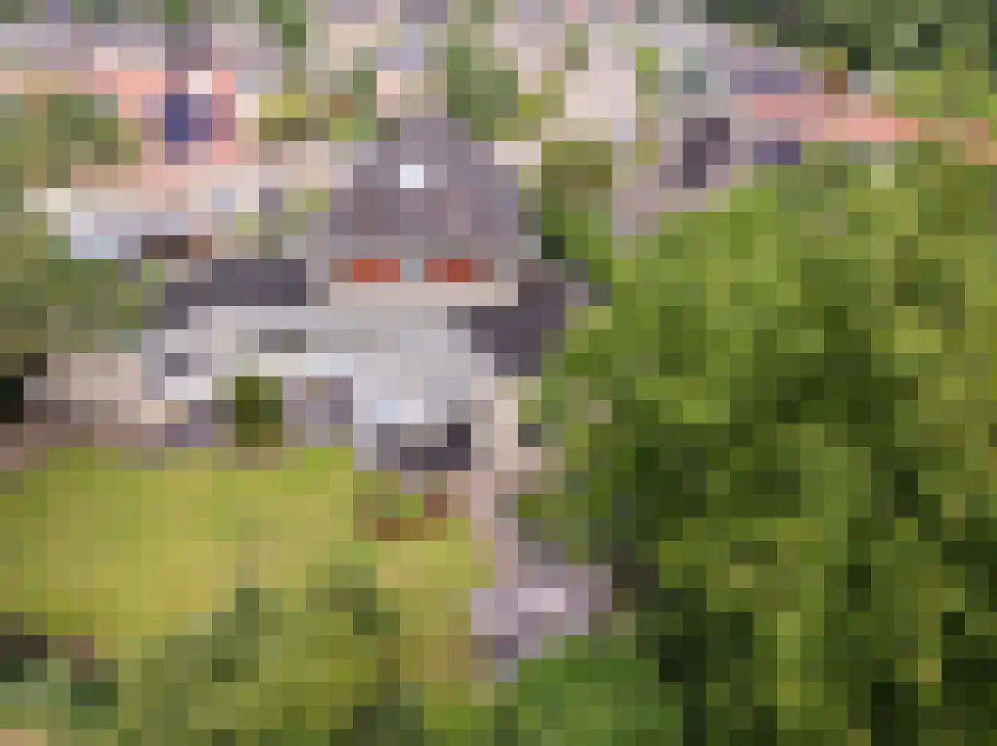 Gaspeldoorn 60 Eerbeek thumbnail 46