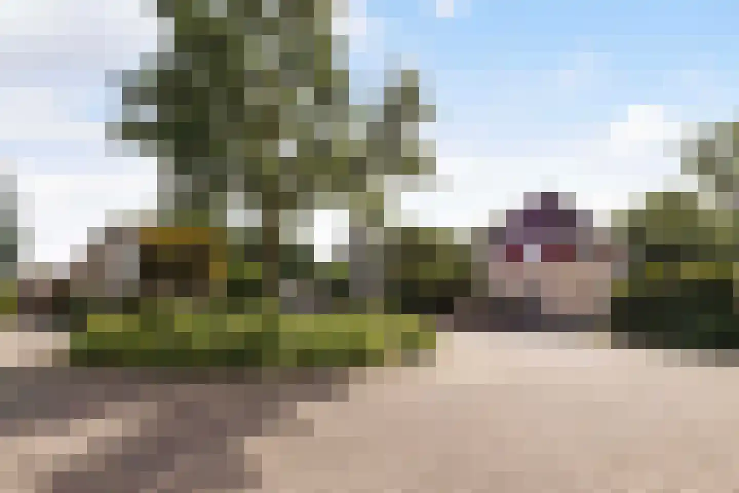 Gaspeldoorn 60 Eerbeek thumbnail 47