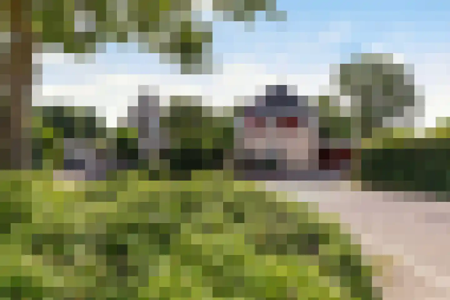 Gaspeldoorn 60 Eerbeek thumbnail 50