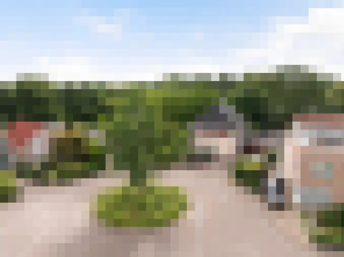 Gaspeldoorn 60 Eerbeek thumbnail 51