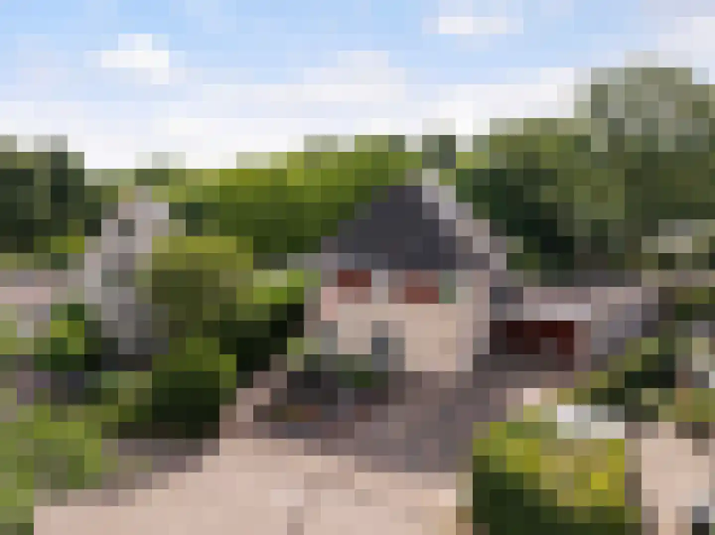 Gaspeldoorn 60 Eerbeek thumbnail 52