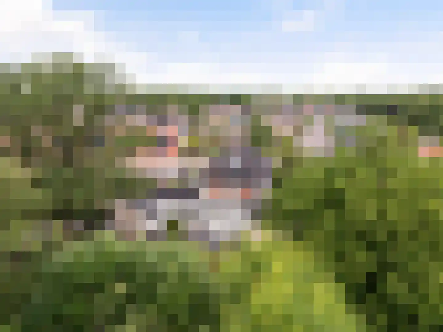Gaspeldoorn 60 Eerbeek thumbnail 53