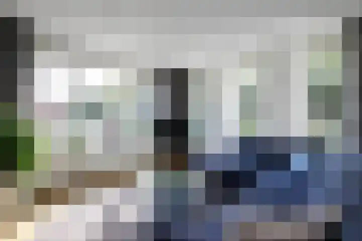 Gaspeldoorn 7 Bergambacht thumbnail 12
