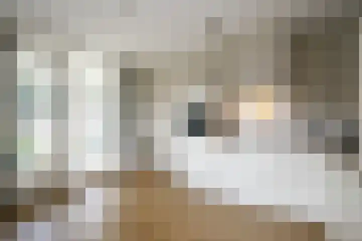Gaspeldoorn 7 Bergambacht thumbnail 14