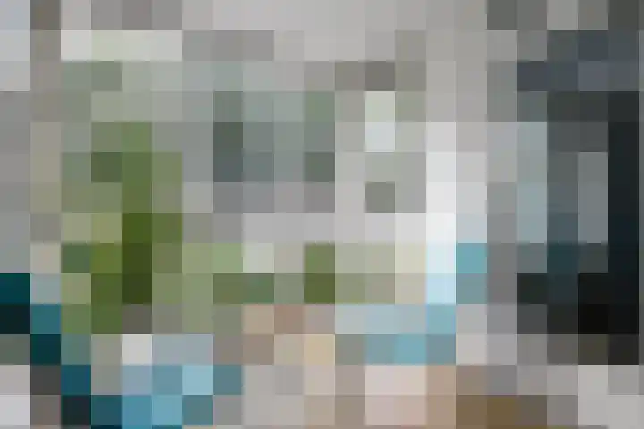 Gaspeldoorn 7 Bergambacht thumbnail 15