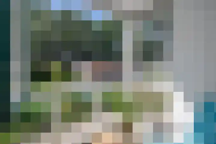 Gaspeldoorn 7 Bergambacht thumbnail 16