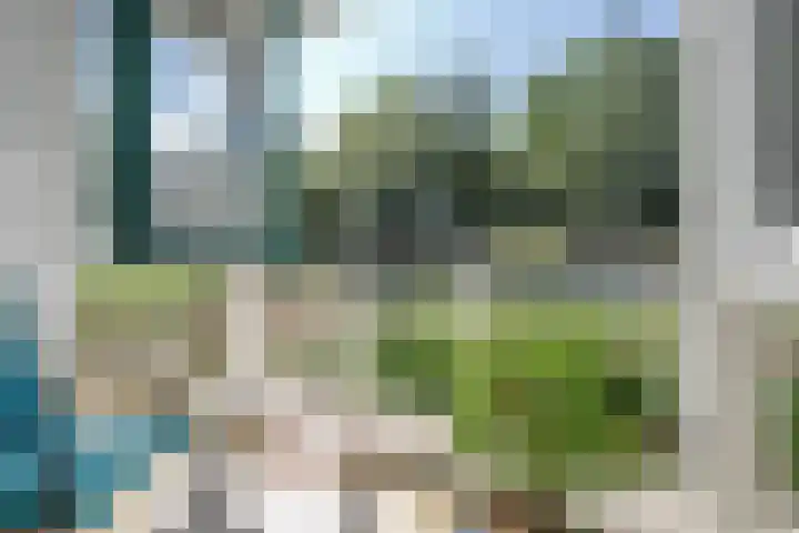 Gaspeldoorn 7 Bergambacht thumbnail 17