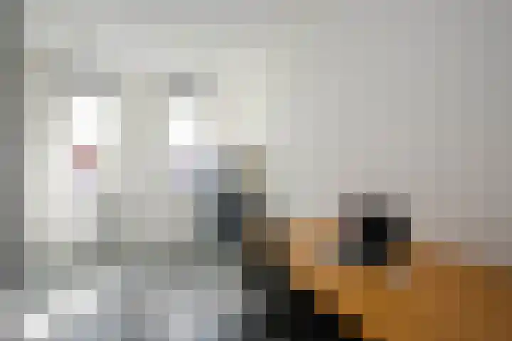 Gaspeldoorn 7 Bergambacht thumbnail 22
