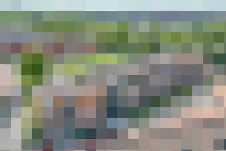 Gaspeldoorn 7 Bergambacht thumbnail 24
