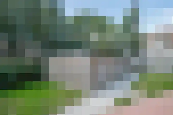 Gaspeldoorn 7 Bergambacht thumbnail 27