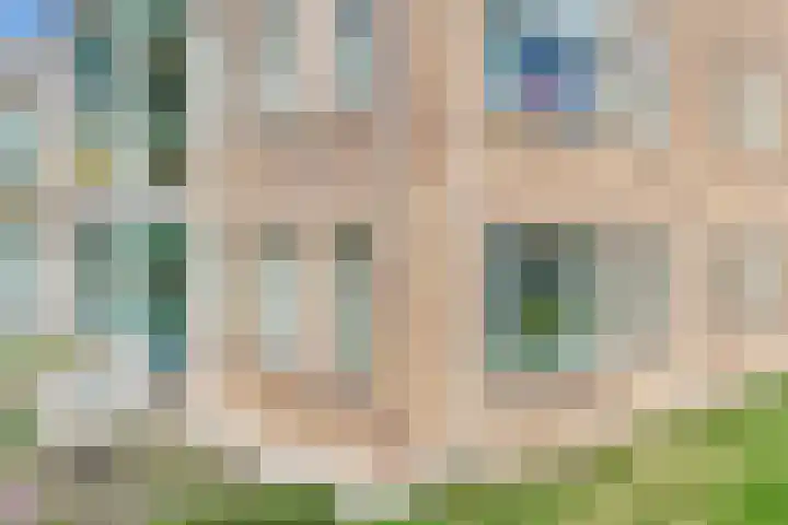 Gaspeldoorn 7 Bergambacht thumbnail 5