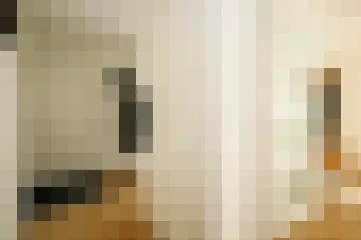Gaspeldoorn 7 Bergambacht thumbnail 8