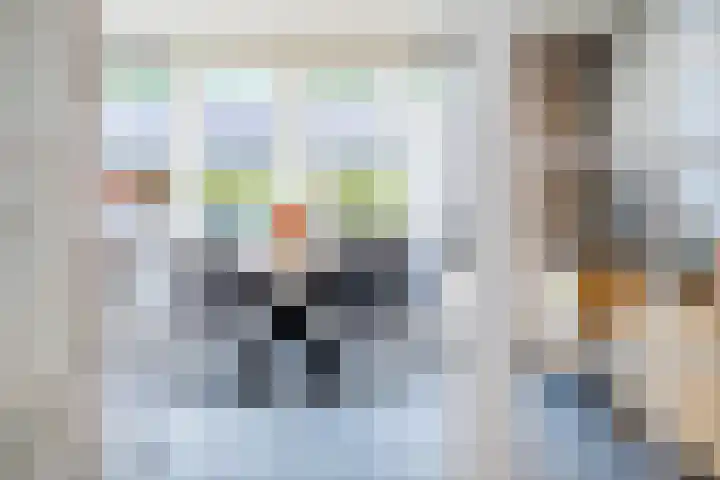 Gaspeldoorn 72 Eerbeek thumbnail 10