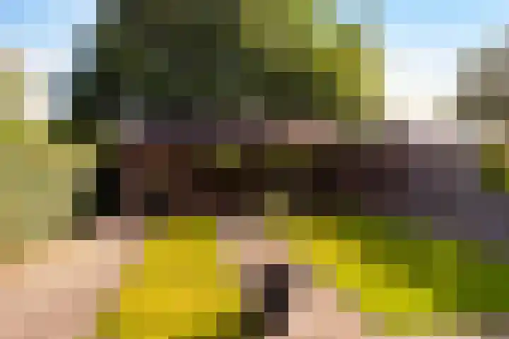 Gaspeldoorn 72 Eerbeek thumbnail 28