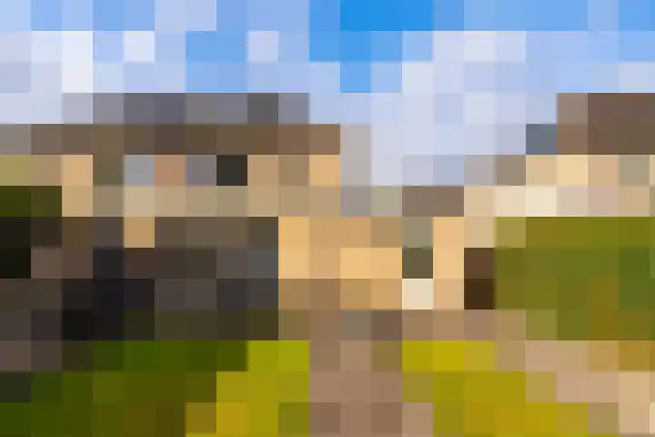 Gaspeldoorn 72 Eerbeek thumbnail 29
