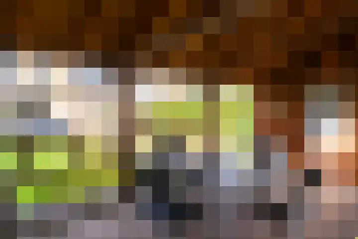 Gaspeldoorn 72 Eerbeek thumbnail 30