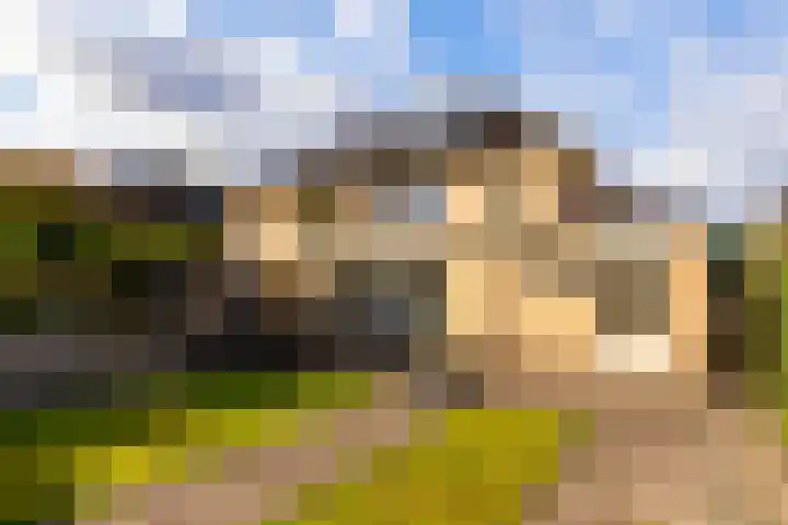 Gaspeldoorn 72 Eerbeek thumbnail 31